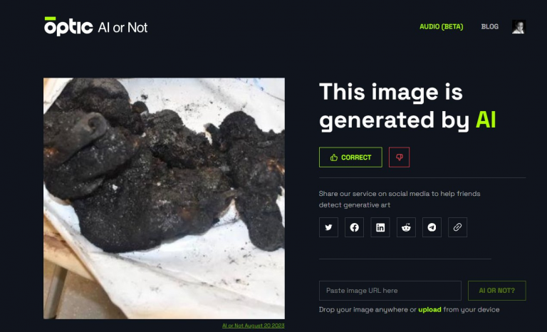 Israel published AI generated photo of burnt-charred baby as Hamas ...